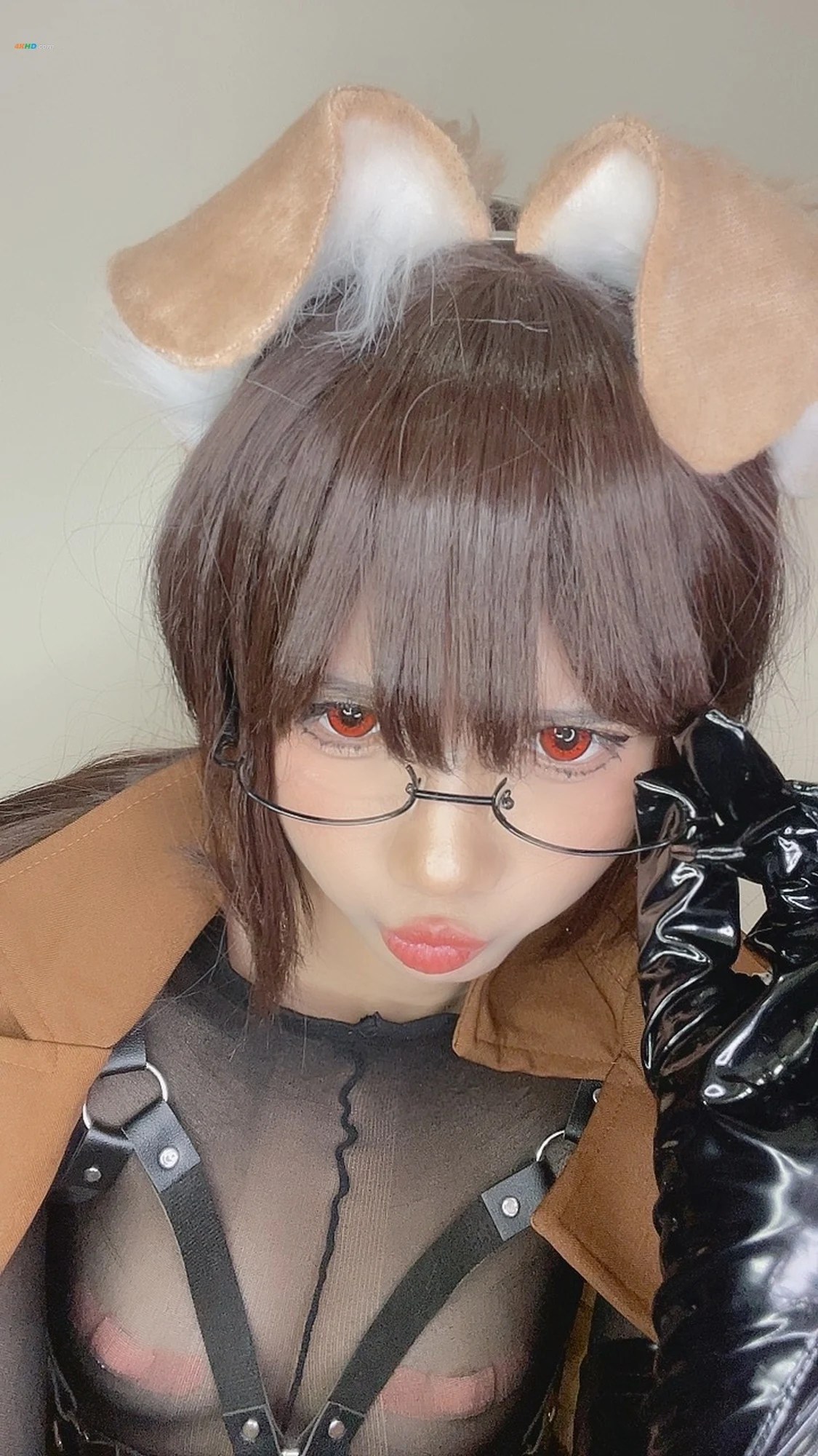 PoppaChan  Shiba Inu[456MB-111photos]