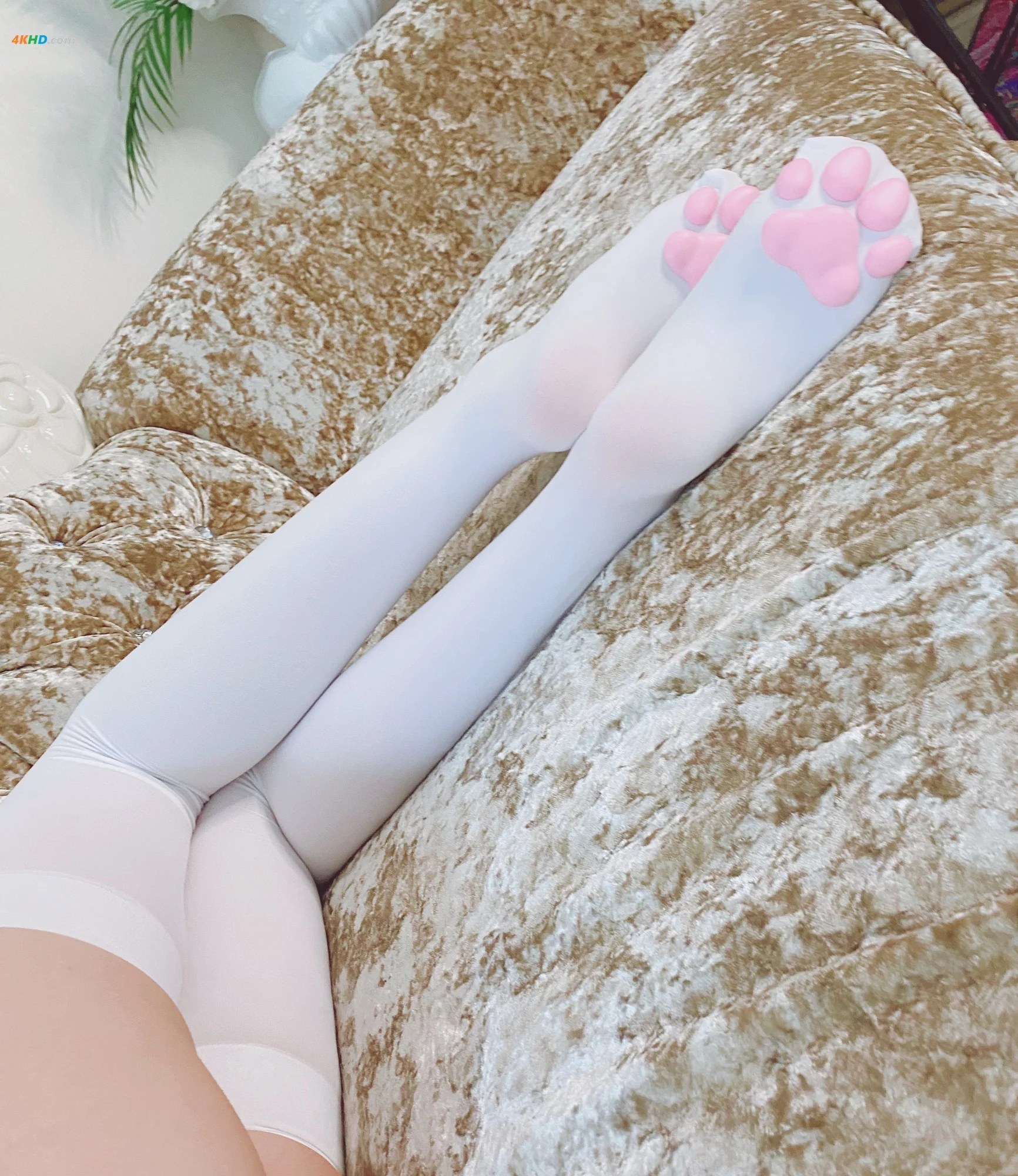 起司块wii  丝足系列白丝+猫爪[343MB-40photos]
