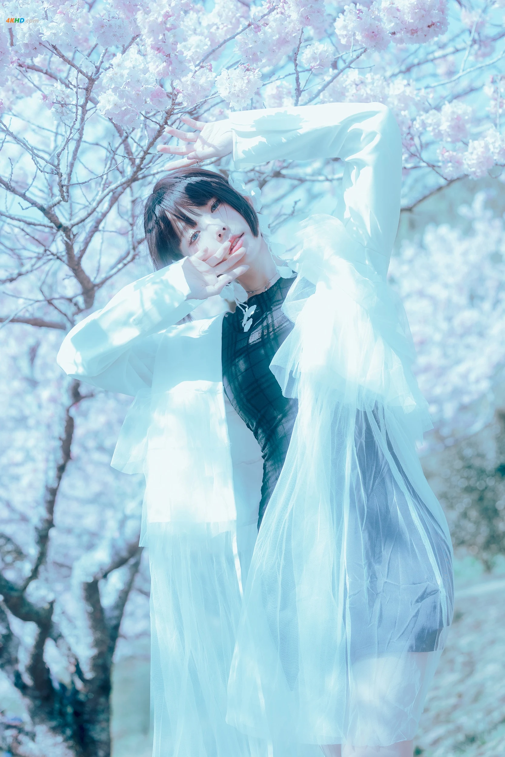 ElyEE子 –  17°C Pink Sakura17°C粉櫻[103MB-43photos]